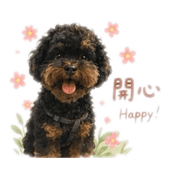 小咪日常第四彈✨✨