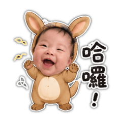 安安小袋鼠