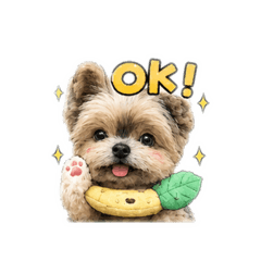 貢丸貢丸丸