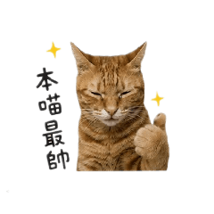 烏拉拉的日常用語