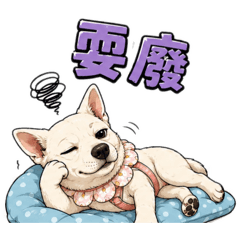 弟弟耍廢
