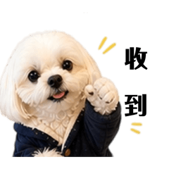 Bobo 麻布