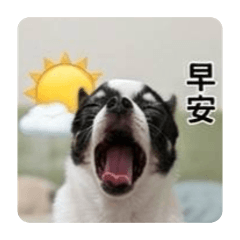 養老的小ㄋㄟ
