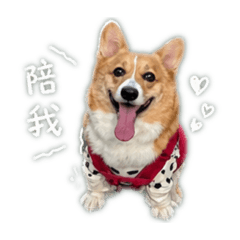 鄭妮妮日常貼圖