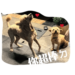 貴貴生活