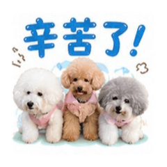 三個熊寶貝2