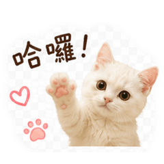 五萬の日常