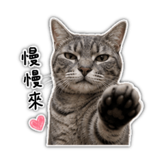 彪哥&哩汪