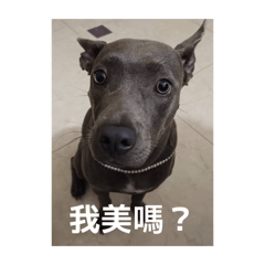 梅竜小公主②
