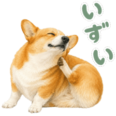 Corgi Can't Reach the Itchy Spot