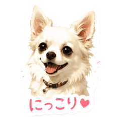 Fluffy Chihuahua Kuu Stickers
