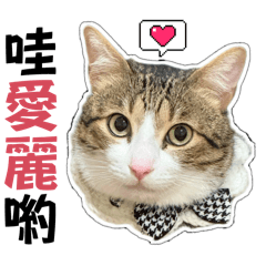 妞仔