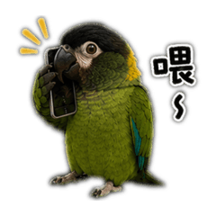 愛接電話的阿福