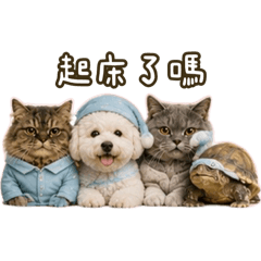 四隻小怪獸