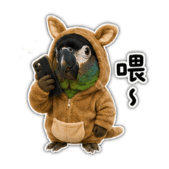 喂～阿福～