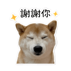 哈庫庫發呆日常2.0