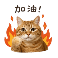 大橘圍眾