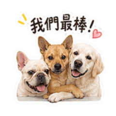三寶的日常小劇場