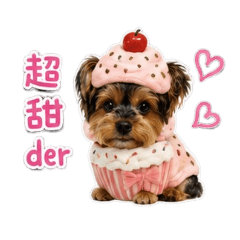 貴妃們表情包