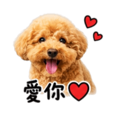 嘟嘟日常療癒篇