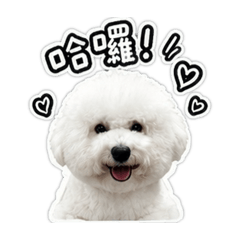 專屬胡闆闆