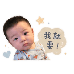 小貢丸(任性篇)