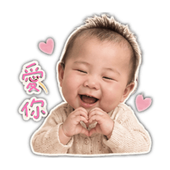 迷你豬說哈嘍2