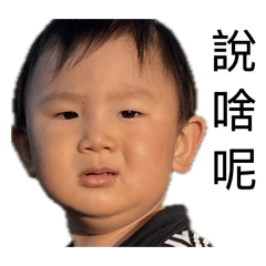 表情包的日常1