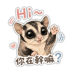 My pet.Sunny_20260508