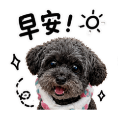 黑妞貴賓x生活日常用語