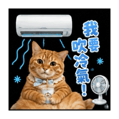 草屯咪咪醬