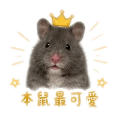 麻糬來賺錢