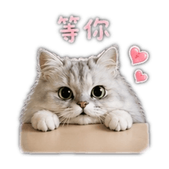 Miku陪你每一天