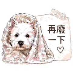 Mi呀來囉2