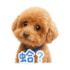 Bobo ♡