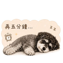 Nemo睡覺的每一天