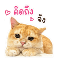 โนโน่เอลลล