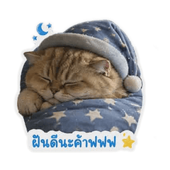 Koigetty_20260430152401