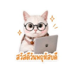 Iceicenattha_20260430152422
