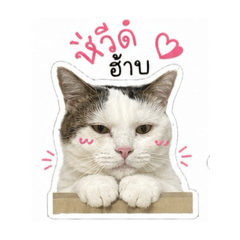 Kaitom Studio_20260430152355