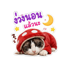 cat  Mushroom red_20260430152526