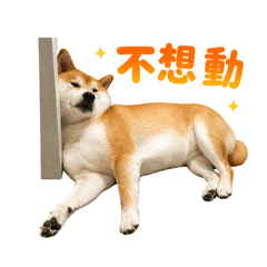 哈庫庫呆萌日常
