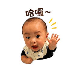 我是陸單