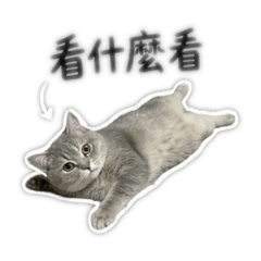 J系芋泥la