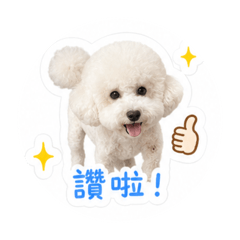 艾貝花花