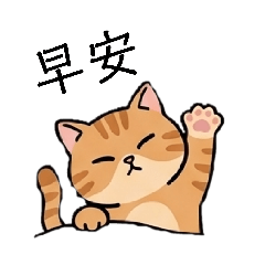 我愛橘色貓