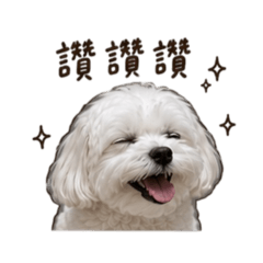 小麻糬之日常對話