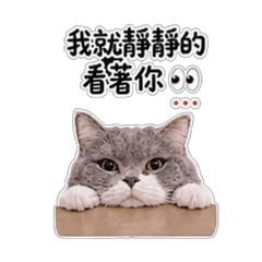 4屁孩的日常part2