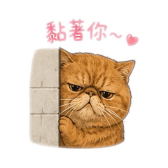 Jimmy_20260508172154