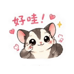 軟萌蜜袋鼯日常